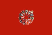 凉山州昭觉回收红酒